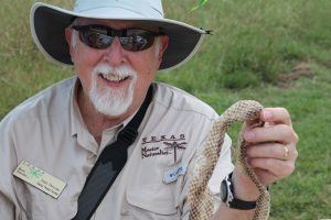 Man Holding a Snakeskin