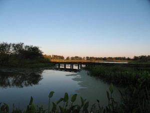 Seabourne Creek Nature Park Pond and Bridge