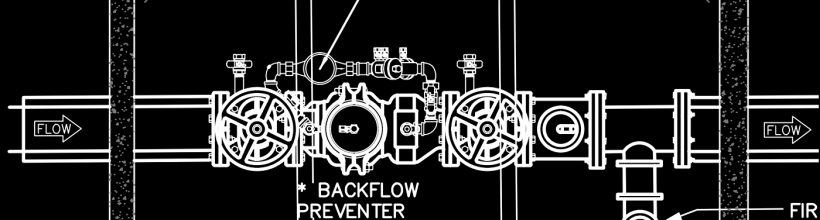 Backflow Preventer