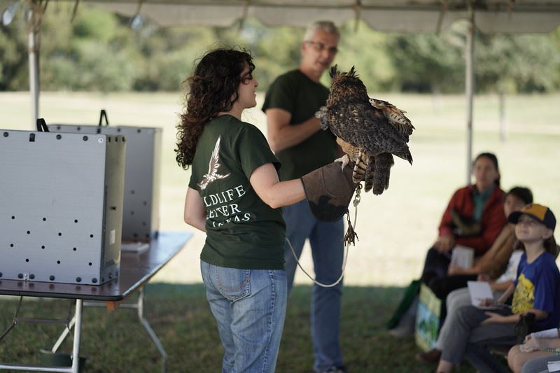 Woman Holding an Owl
