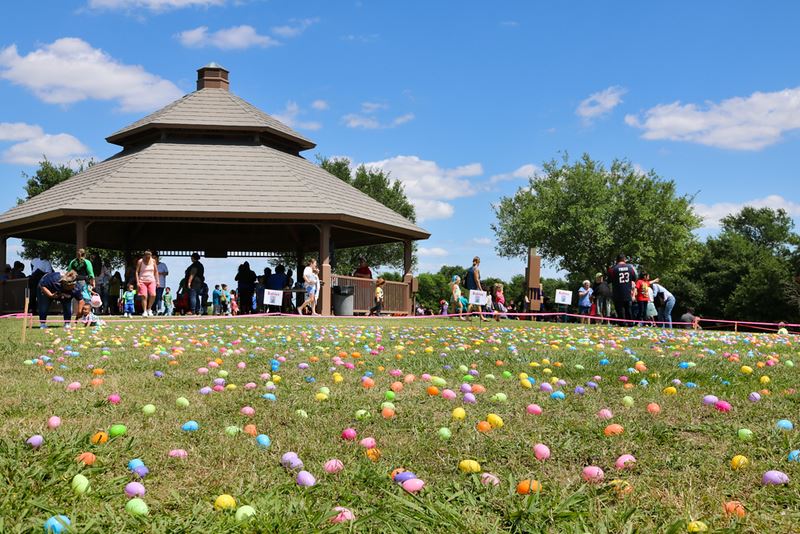 Eggs Scattered on Lawn by Gazebo