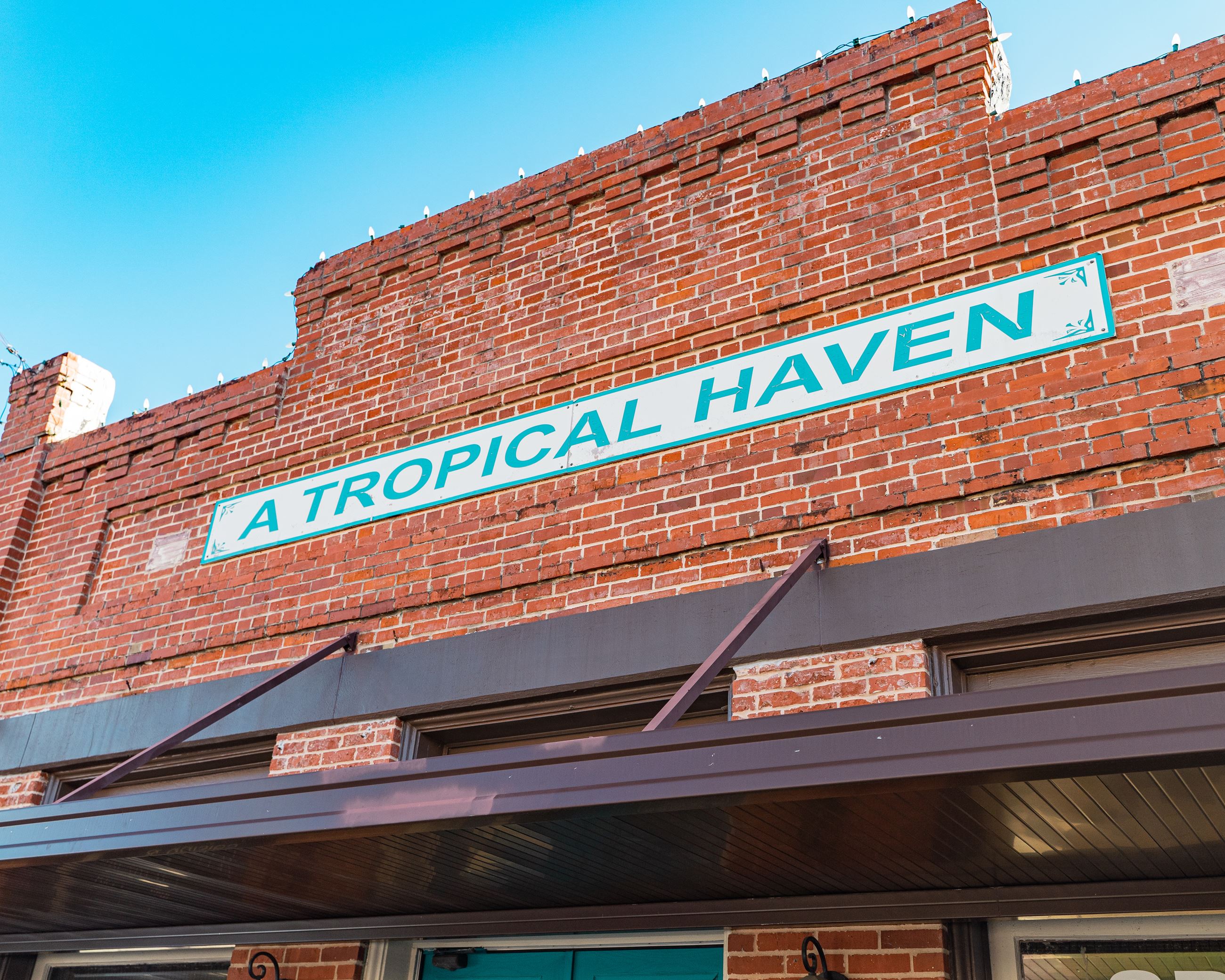A Tropical Haven (jpg)