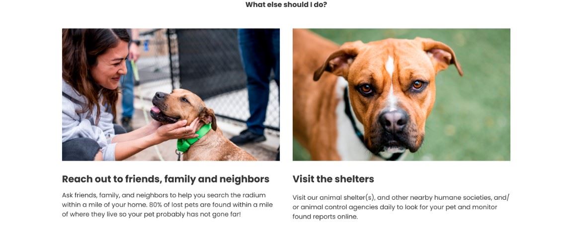 Screenshot 2025-02-10 130912