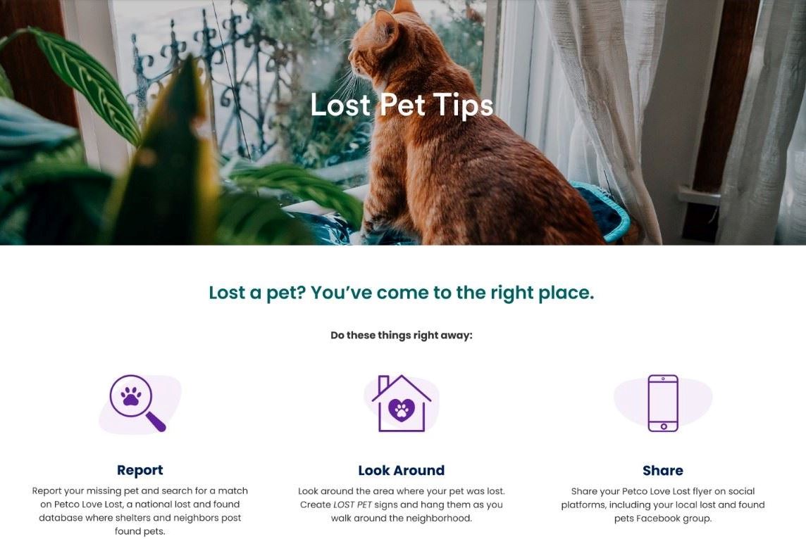 Screenshot 2025-02-10 130849